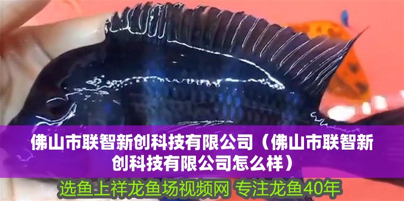 佛山市聯智新創科技有限公司（佛山市聯智新創科技有限公司怎么樣）