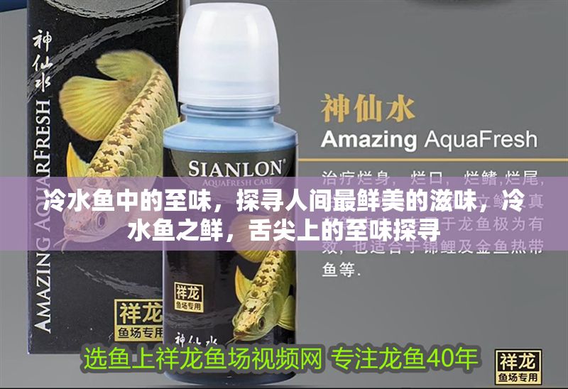 冷水魚中的至味，探尋人間最鮮美的滋味，冷水魚之鮮，舌尖上的至味探尋