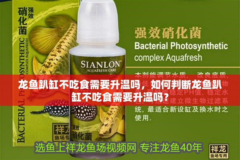 龍魚趴缸不吃食需要升溫嗎，如何判斷龍魚趴缸不吃食需要升溫嗎？