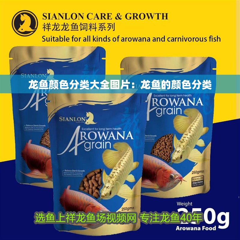 龍魚顏色分類大全圖片：龍魚的顏色分類