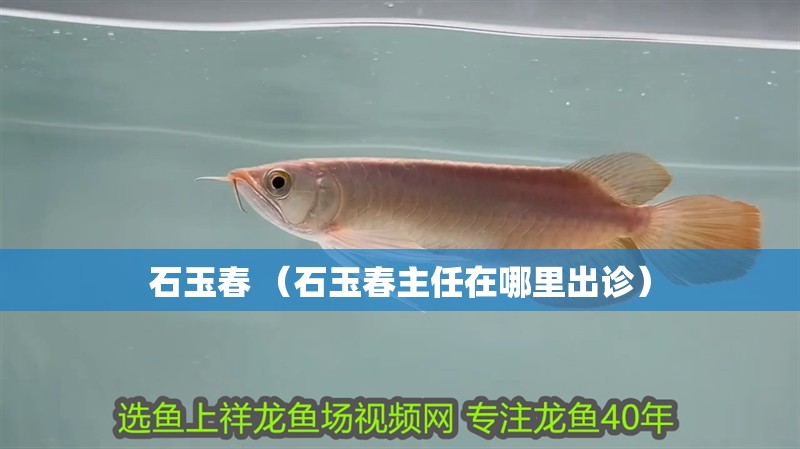 石玉春 （石玉春主任在哪里出診） 石玉春 （石玉春主任在哪里出診） 全國水族館企業名錄