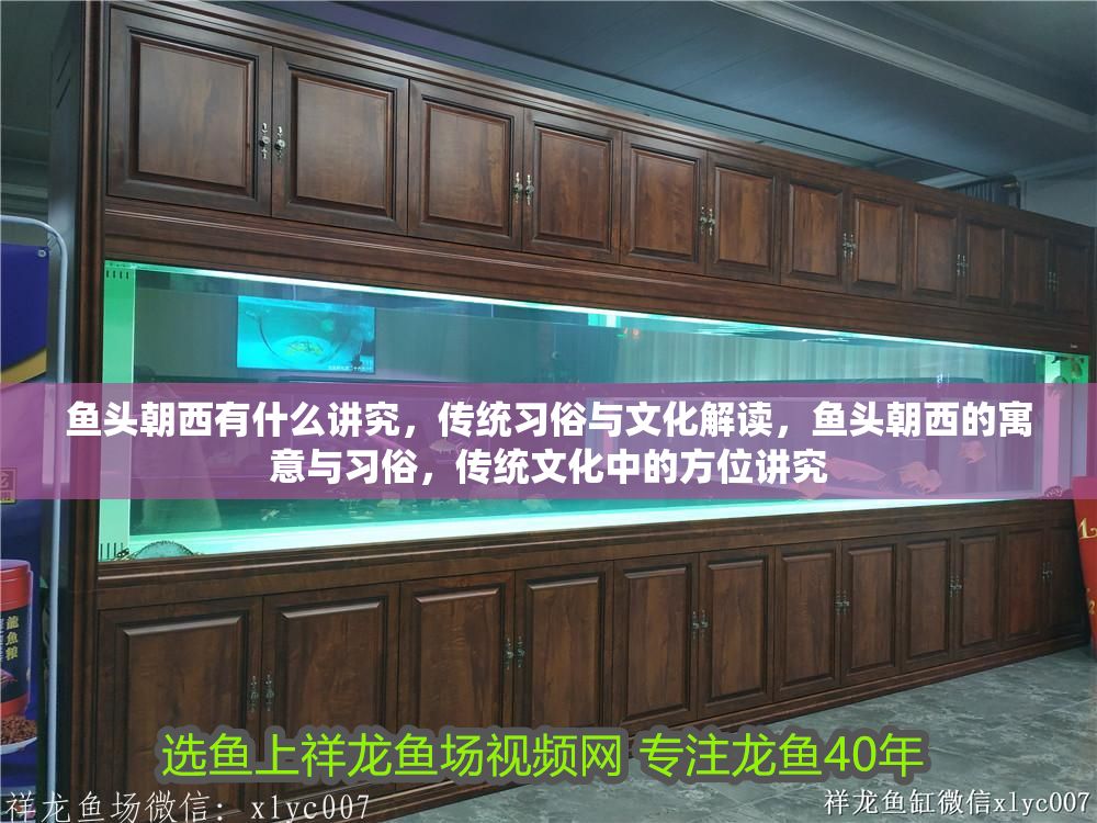 魚頭朝西有什么講究，傳統(tǒng)習(xí)俗與文化解讀，魚頭朝西的寓意與習(xí)俗，傳統(tǒng)文化中的方位講究