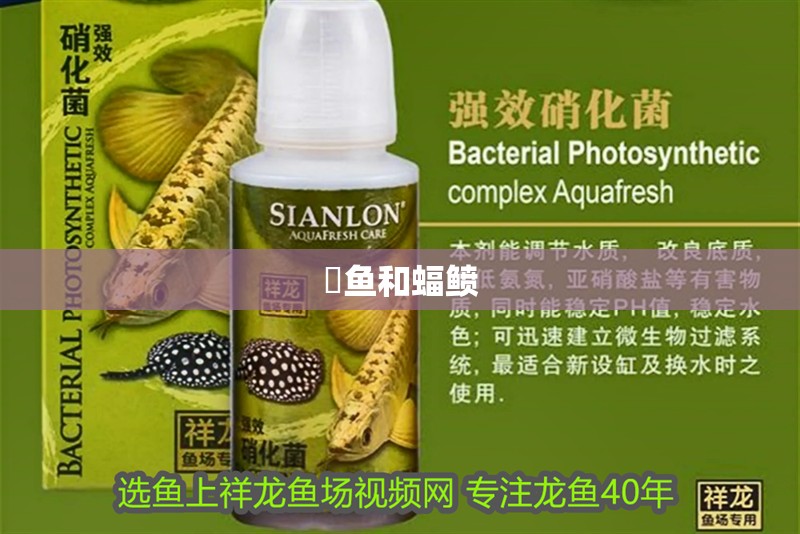 魚缸過濾器選購指南:自制魚缸過濾器魚缸上置過濾器對于養魚愛好者的必備知識 魟魚和蝠鲼 龍魚論壇 魟魚和蝠鲼 魟魚和蝠鲼 龍魚論壇