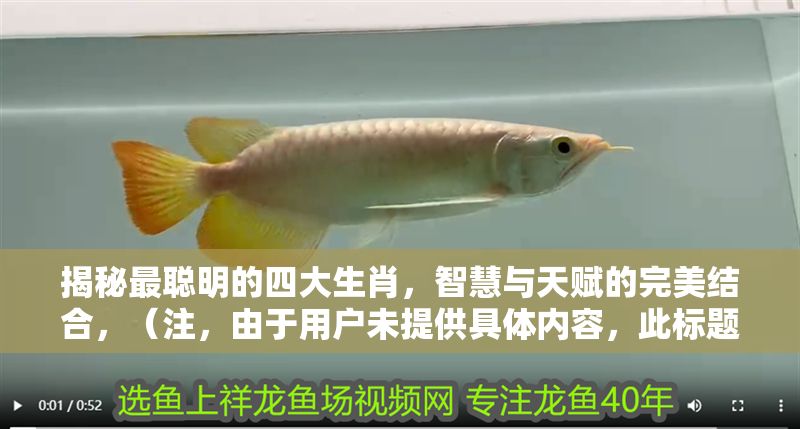 揭秘最聰明的四大生肖，智慧與天賦的完美結合，（注，由于用戶未提供具體內容，此標題是基于常見生肖智慧話題的通用示例。若用戶能提供相關內容，可生成更精準匹配的標題。），四大高智商生肖揭秘，誰是天生的智慧擔當？，（請補充您的具體內容需求，我將為您定制專屬標題。）