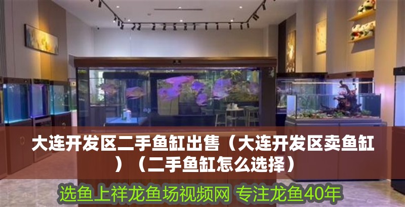 大連開發區二手魚缸出售（大連開發區賣魚缸）（二手魚缸怎么選擇）