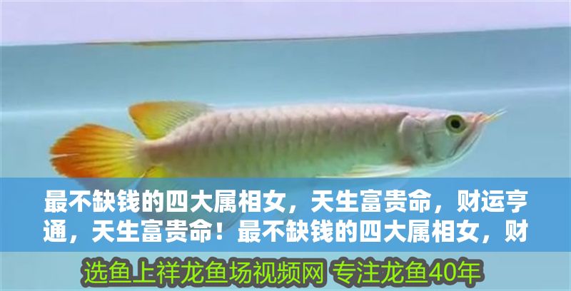 最不缺錢的四大屬相女，天生富貴命，財運亨通，天生富貴命！最不缺錢的四大屬相女，財運亨通惹人羨