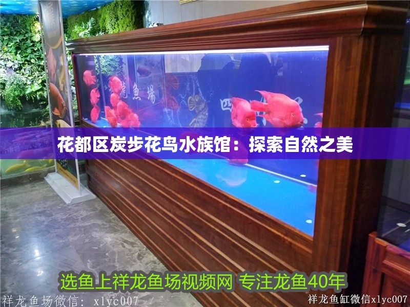 花都區(qū)炭步花鳥水族館：探索自然之美