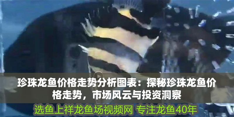 珍珠龍魚價格走勢分析圖表：探秘珍珠龍魚價格走勢，市場風云與投資洞察