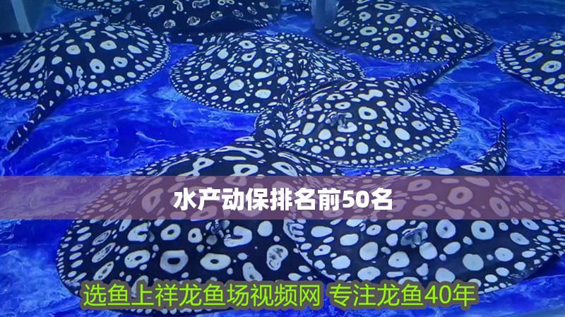 水產(chǎn)動保排名前50名