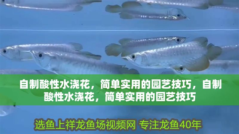 自制酸性水澆花，簡單實用的園藝技巧，自制酸性水澆花，簡單實用的園藝技巧