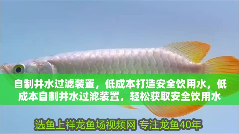 自制井水過濾裝置，低成本打造安全飲用水，低成本自制井水過濾裝置，輕松獲取安全飲用水
