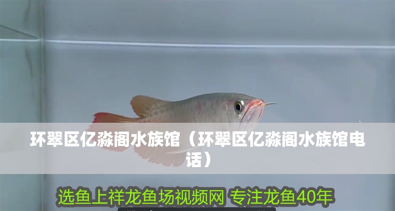 環(huán)翠區(qū)億淼閣水族館（環(huán)翠區(qū)億淼閣水族館電話）