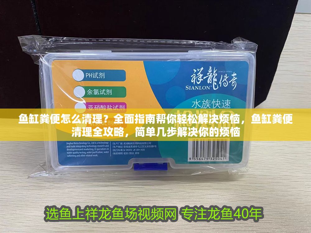 魚缸糞便怎么清理？全面指南幫你輕松解決煩惱，魚缸糞便清理全攻略，簡單幾步解決你的煩惱