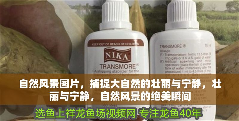 自然風景圖片，捕捉大自然的壯麗與寧靜，壯麗與寧靜，自然風景的絕美瞬間