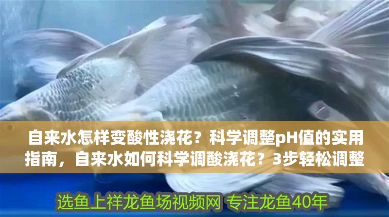 自來水怎樣變酸性澆花？科學調整pH值的實用指南，自來水如何科學調酸澆花？3步輕松調整pH值