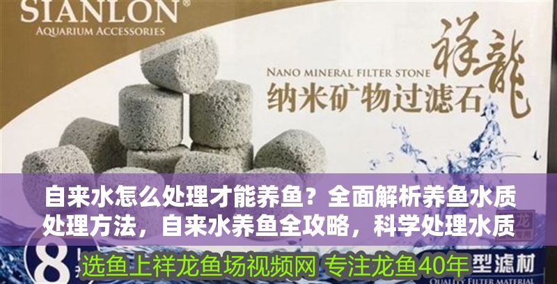 自來水怎么處理才能養(yǎng)魚？全面解析養(yǎng)魚水質處理方法，自來水養(yǎng)魚全攻略，科學處理水質的方法與步驟