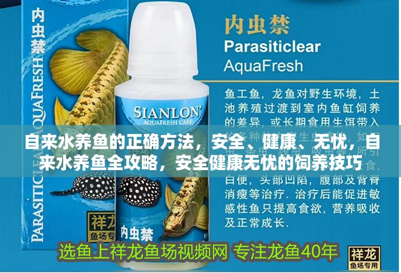 自來水養魚的正確方法，安全、健康、無憂，自來水養魚全攻略，安全健康無憂的飼養技巧