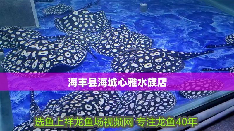 海豐縣海城心雅水族店