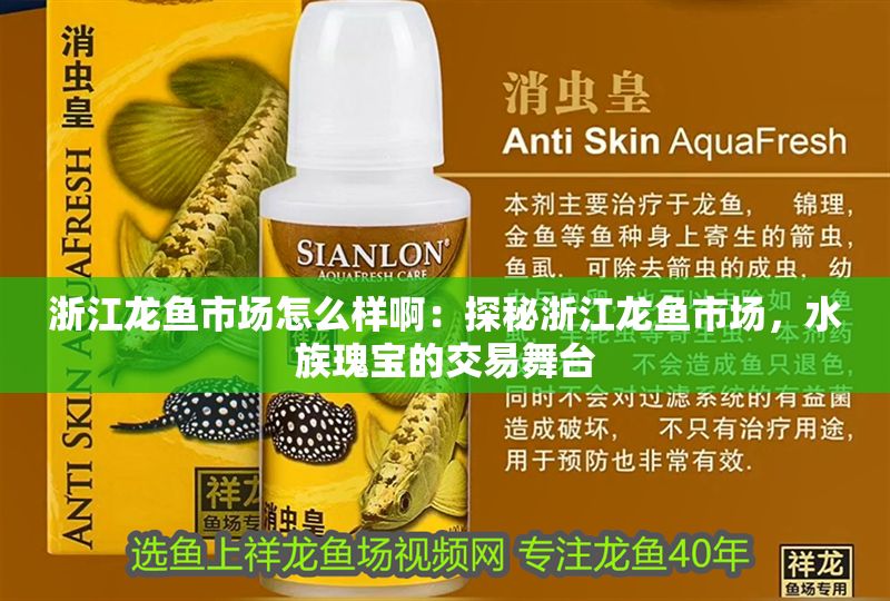 浙江龍魚市場怎么樣啊：探秘浙江龍魚市場，水族瑰寶的交易舞臺