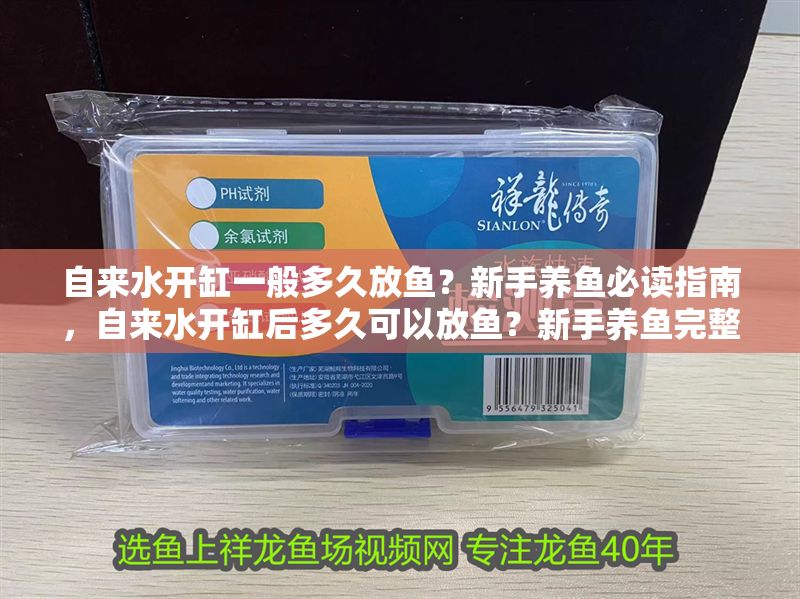 自來水開缸一般多久放魚？新手養魚必讀指南，自來水開缸后多久可以放魚？新手養魚完整指南