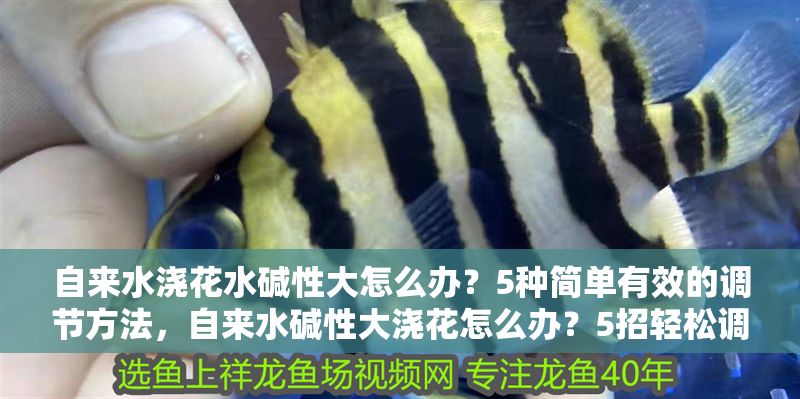 自來水澆花水堿性大怎么辦？5種簡單有效的調節方法，自來水堿性大澆花怎么辦？5招輕松調節水質