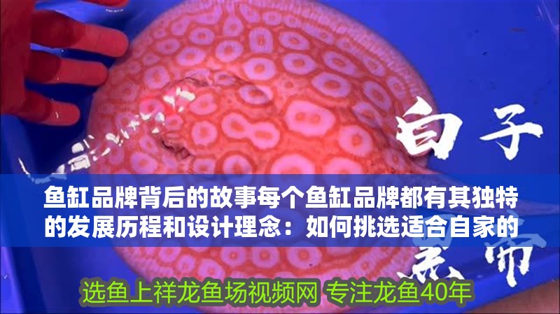 魚缸品牌背后的故事每個魚缸品牌都有其獨特的發展歷程和設計理念：如何挑選適合自家的魚缸