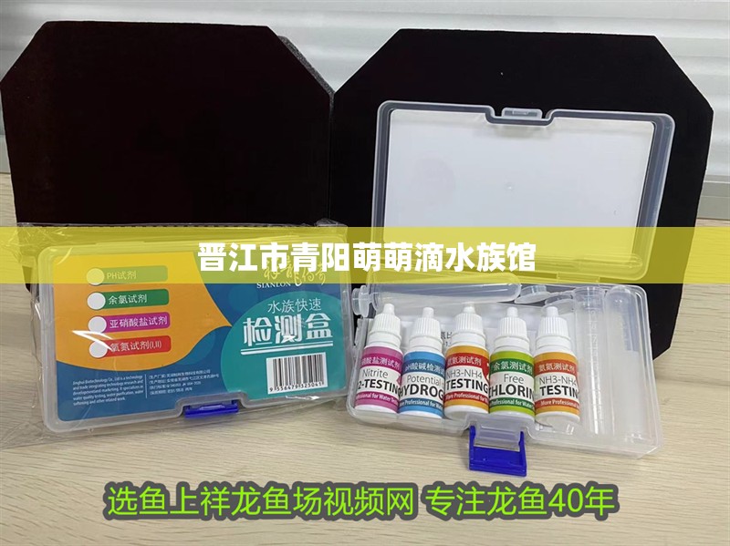 晉江市青陽萌萌滴水族館