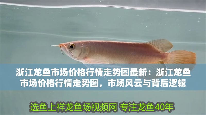 <strong><mark>浙江</mark></strong>龍魚市場價格行情走勢圖最新：<strong><mark>浙江</mark></strong>龍魚市場價格行情走勢圖，市場風云與背后邏輯