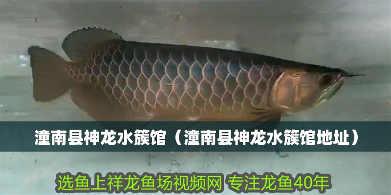 潼南縣神龍水簇館（潼南縣神龍水簇館地址）
