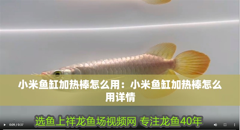 小米魚缸加熱棒怎么用：小米魚缸加熱棒怎么用詳情