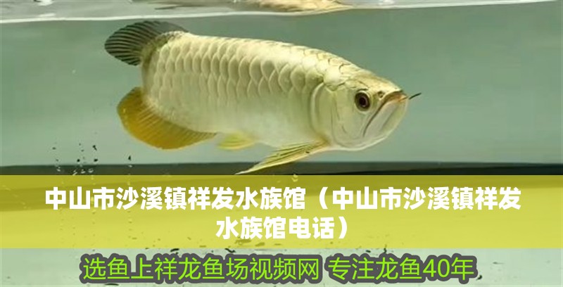 <strong><mark>中山</mark></strong>市沙溪鎮祥發水族館（<strong><mark>中山</mark></strong>市沙溪鎮祥發水族館電話）