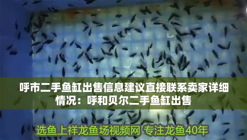 呼市二手魚缸出售信息建議直接聯系賣家詳細情況：呼和貝爾二手魚缸出售