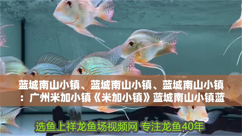 藍城南山小鎮、藍城南山小鎮、藍城南山小鎮：廣州米加小鎮《米加小鎮》藍城南山小鎮藍城南山小鎮 藍城南山小鎮、藍城南山小鎮、藍城南山小鎮：廣州米加小鎮《米加小鎮》藍城南山小鎮藍城南山小鎮 魚缸百科