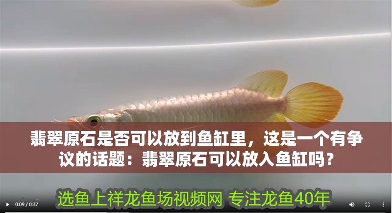 翡翠原石是否可以放到魚缸里，這是一個有爭議的話題：翡翠原石可以放入魚缸嗎？