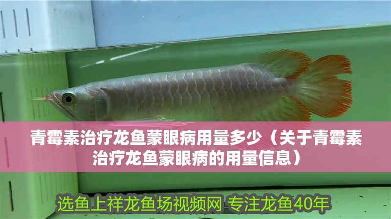 青霉素治療龍魚蒙眼病用量多少（關于青霉素治療龍魚蒙眼病的用量信息）