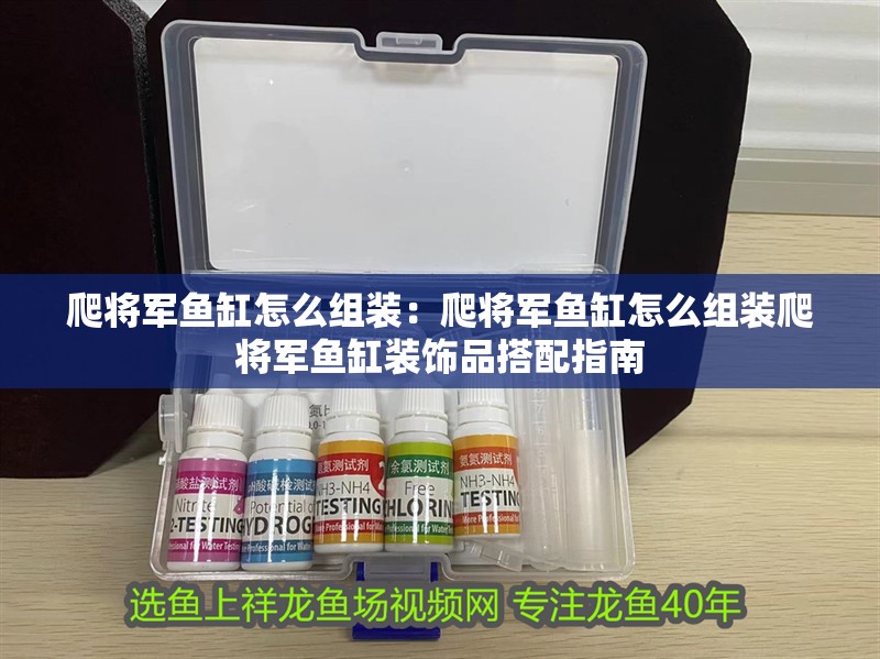 爬將軍魚缸怎么組裝：爬將軍魚缸怎么組裝爬將軍魚缸裝飾品搭配指南