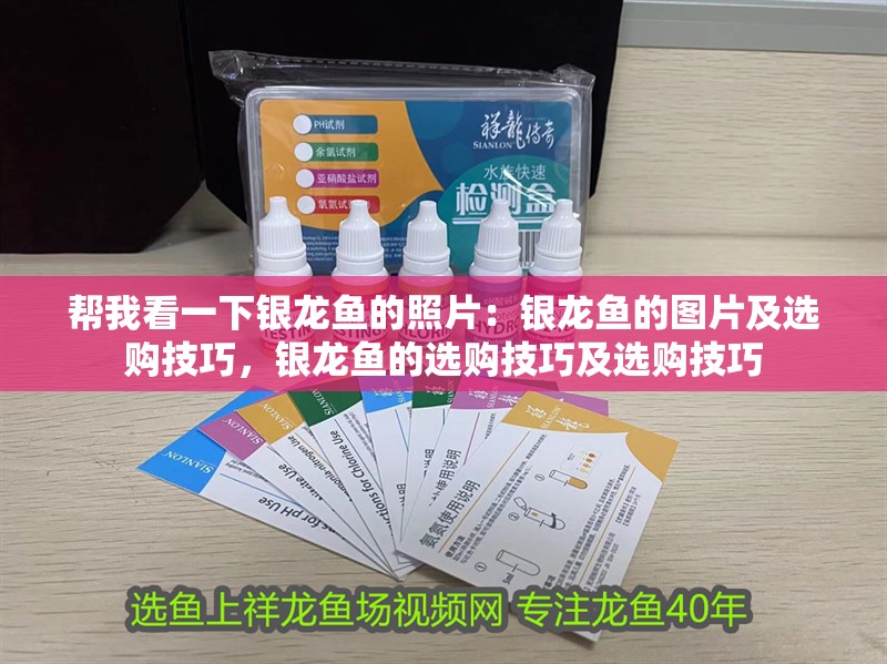 幫我看一下銀龍魚的照片：銀龍魚的圖片及選購技巧，銀龍魚的選購技巧及選購技巧