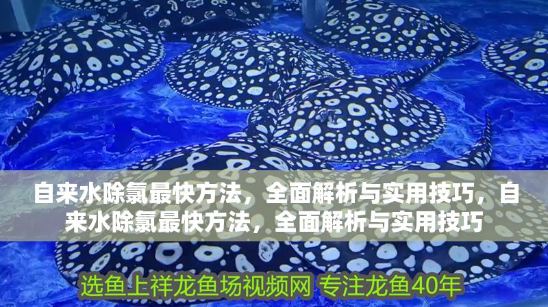自來水除氯最快方法，全面解析與實用技巧，自來水除氯最快方法，全面解析與實用技巧