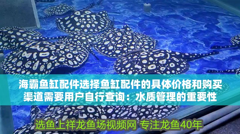 海霸魚缸配件選擇魚缸配件的具體價格和購買渠道需要用戶自行查詢：水質管理的重要性 海霸魚缸配件選擇魚缸配件的具體價格和購買渠道需要用戶自行查詢：水質管理的重要性 魚缸百科