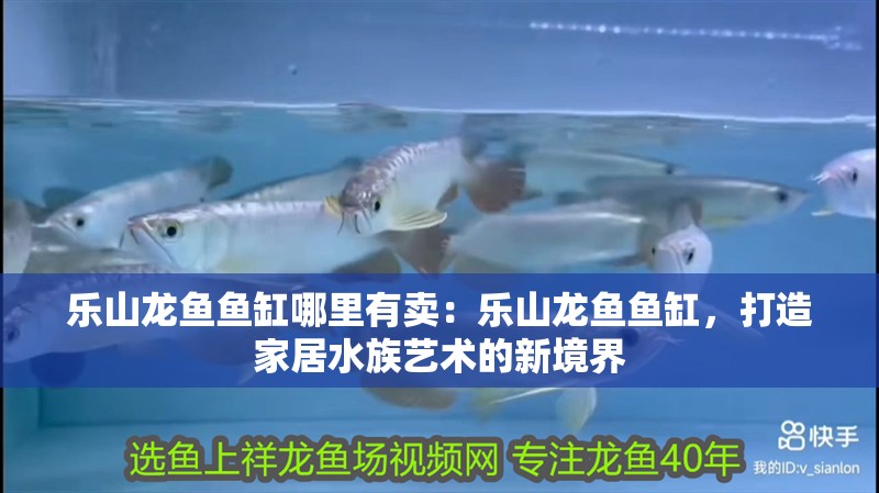 樂(lè)山龍魚(yú)魚(yú)缸哪里有賣(mài)：樂(lè)山龍魚(yú)魚(yú)缸，打造家居水族藝術(shù)的新境界 樂(lè)山龍魚(yú)魚(yú)缸哪里有賣(mài)：樂(lè)山龍魚(yú)魚(yú)缸，打造家居水族藝術(shù)的新境界 魚(yú)缸百科