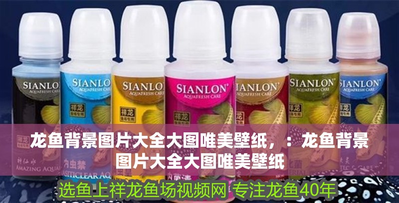 龍魚背景圖片大全大圖唯美壁紙，：龍魚背景圖片大全大圖唯美壁紙