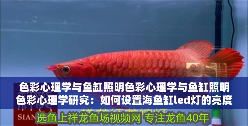 色彩心理學與魚缸照明色彩心理學與魚缸照明色彩心理學研究：如何設置海魚缸led燈的亮度
