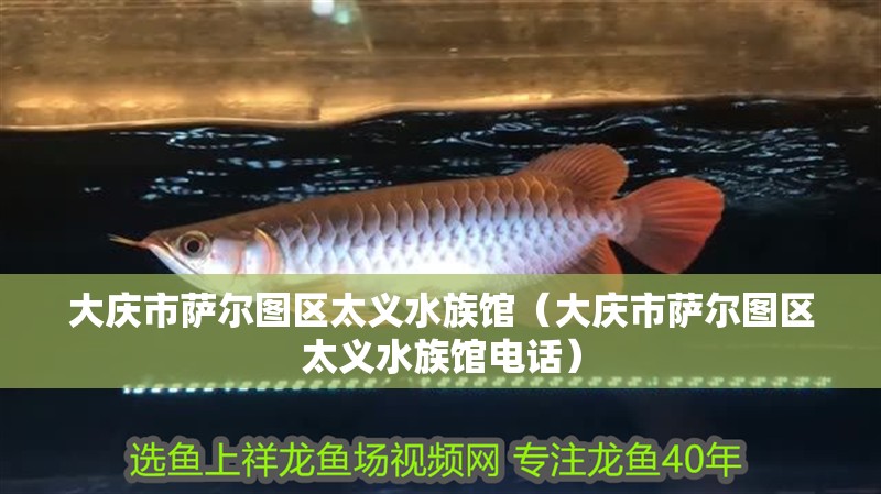 大慶市薩爾圖區太義水族館（大慶市薩爾圖區太義水族館電話）