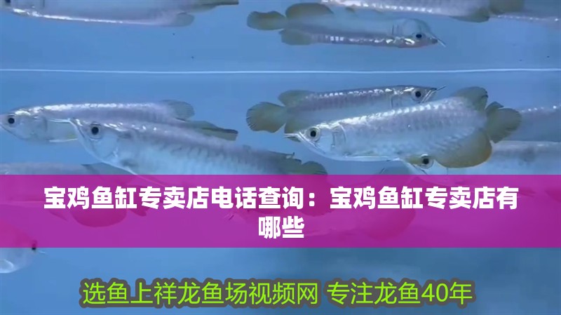 寶雞魚缸專賣店電話查詢：寶雞魚缸專賣店有哪些