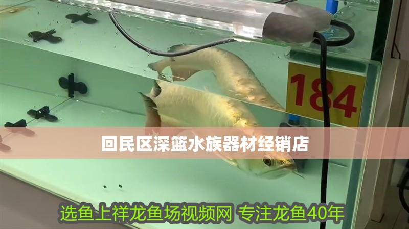 回民區深籃水族器材經銷店