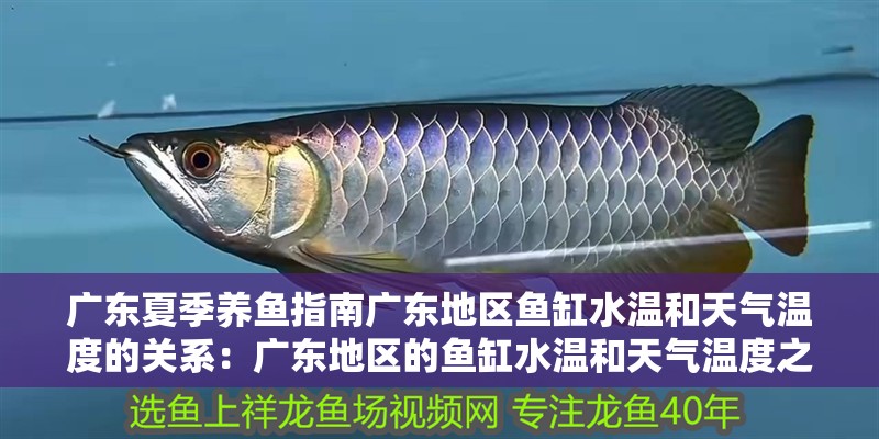 廣東夏季養(yǎng)魚指南廣東地區(qū)魚缸水溫和天氣溫度的關(guān)系：廣東地區(qū)的魚缸水溫和天氣溫度之間的關(guān)系