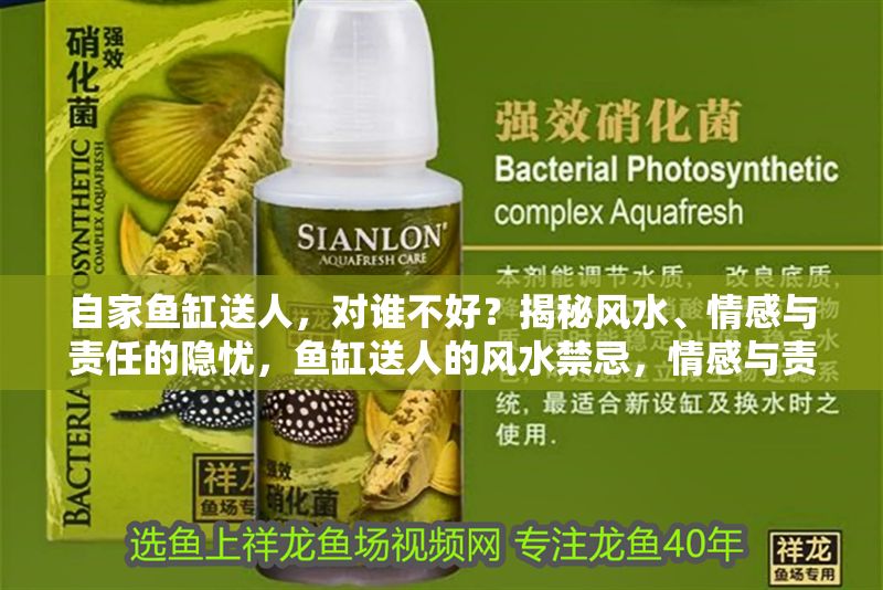 自家魚缸送人，對誰不好？揭秘風(fēng)水、情感與責(zé)任的隱憂，魚缸送人的風(fēng)水禁忌，情感與責(zé)任背后的隱憂解析