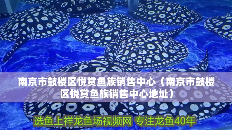 南京市鼓樓區悅賞魚族銷售中心（南京市鼓樓區悅賞魚族銷售中心地址）