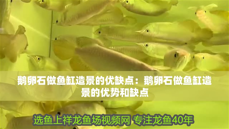 魚缸用增氧泵價格是多少:魚缸增氧機-xtrac增氧機-xtrac增氧機 鵝卵石做魚缸造景的優缺點:鵝卵石做魚缸造景的優勢和缺點 魚缸百科 鵝卵石做魚缸造景的優缺點:鵝卵石做魚缸造景的優勢和缺點 鵝卵石做魚缸造景的優缺點:鵝卵石做魚缸造景的優勢和缺點 魚缸百科