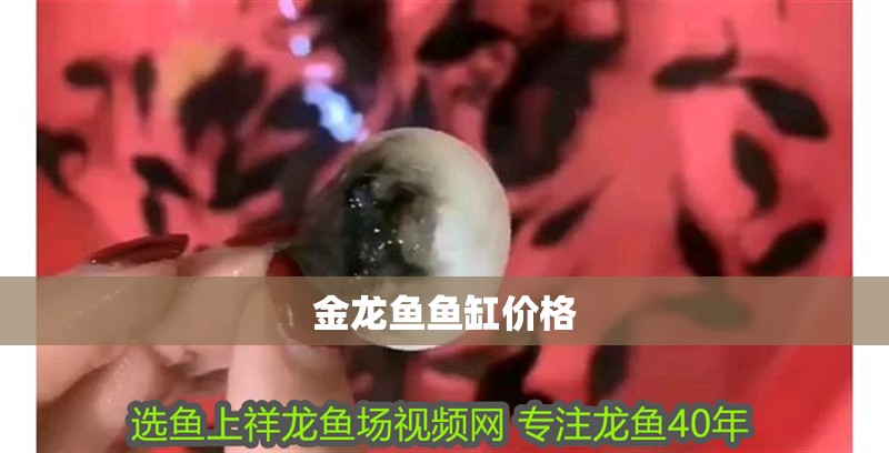 金龍魚魚缸價(jià)格